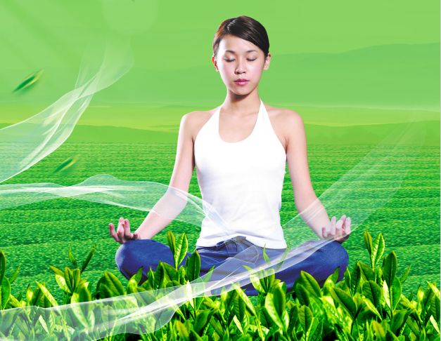 長崎大学 Diploma in Environmental Science